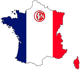 Logo FRS