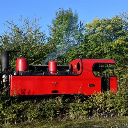 Machine invitée du CFBS la 130 T 1 est en préparation pour les circulations de l’après-midi (Dépôt de Thuin)