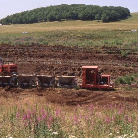 Tourbières de l'Aubrac 2001